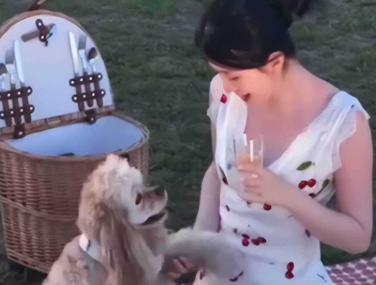 曝光神秘老公赖柏霖罕见出镜状态超绝开元棋