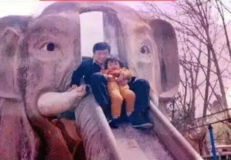 园的大象滑梯回来了！开元棋牌郑州人民公